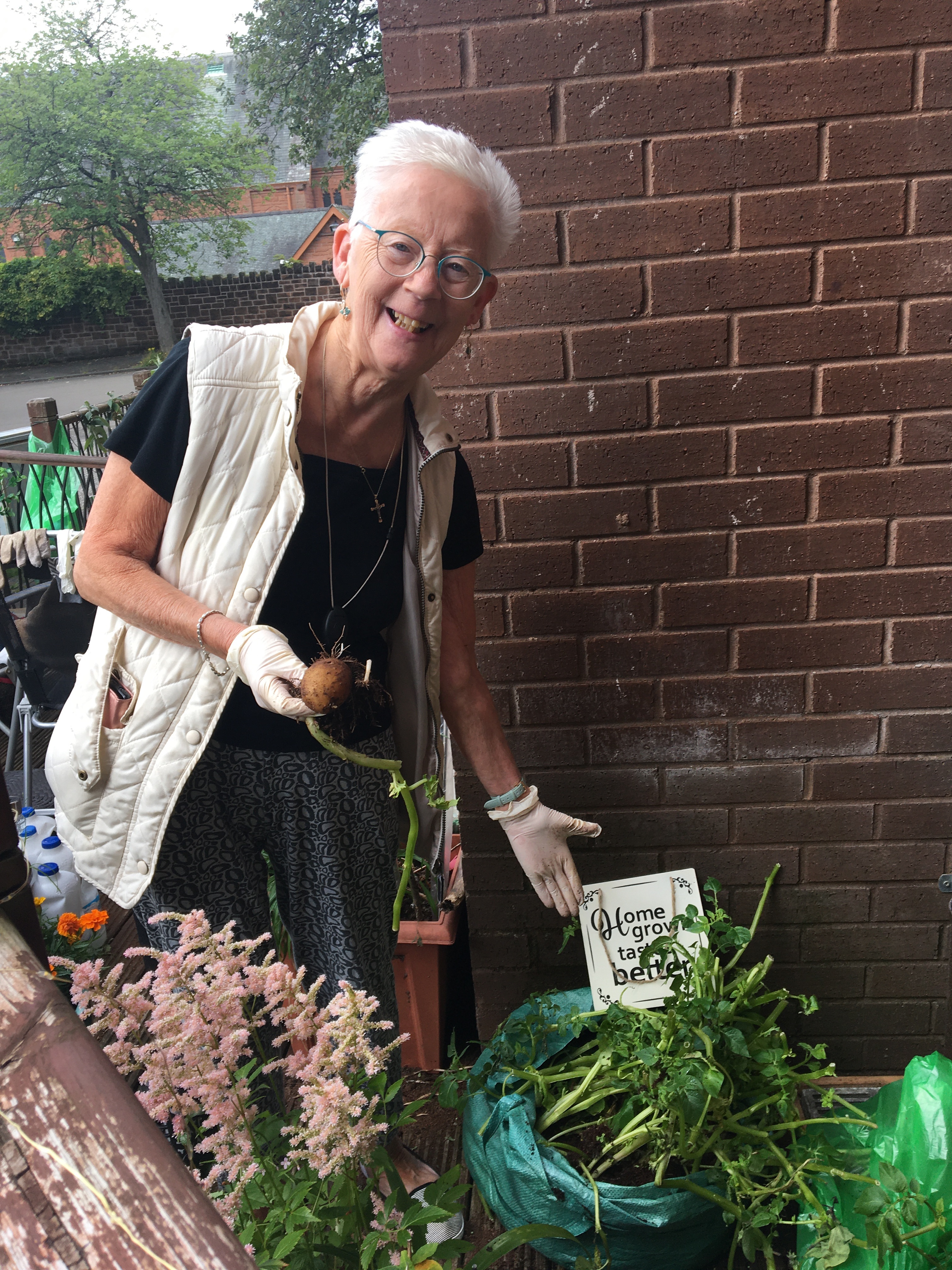 Wheatley's older tenants go green to grow food and help the planet