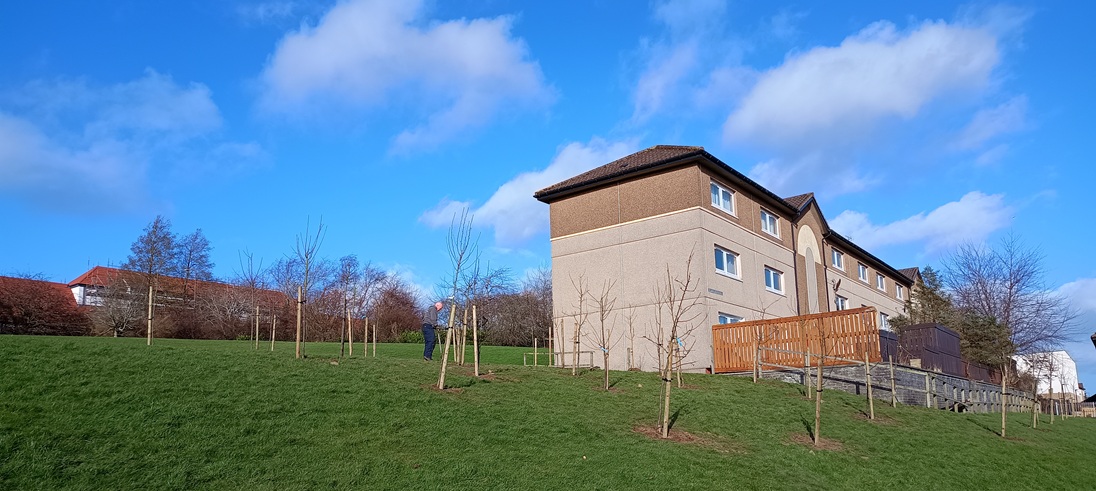 Almond Housing Association launches community orchard project