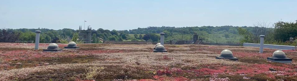 England: Review finds failings in social landlord’s ‘living roofs’ management