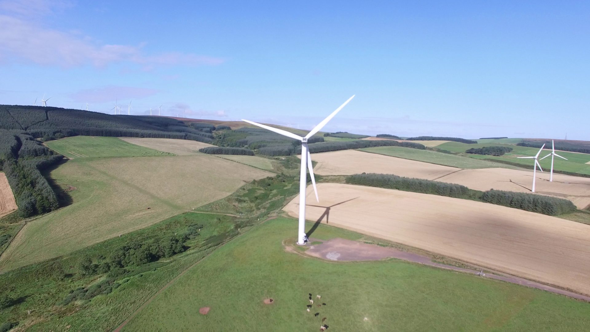 Berwickshire Housing Association helps vulnerable people with wind farm cash