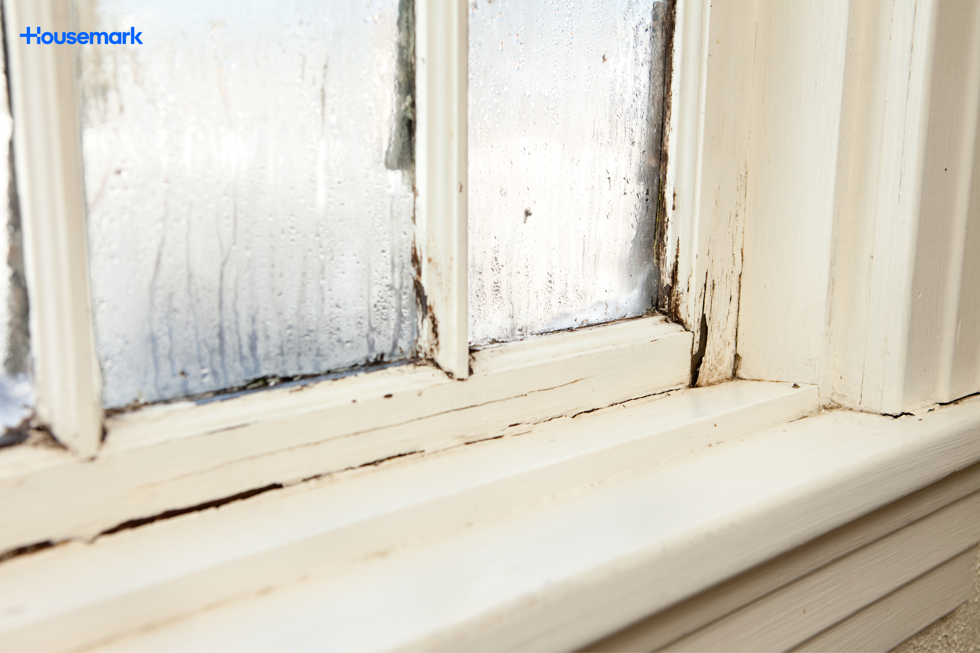 Housemark research shows one in five damp and mould cases reopened