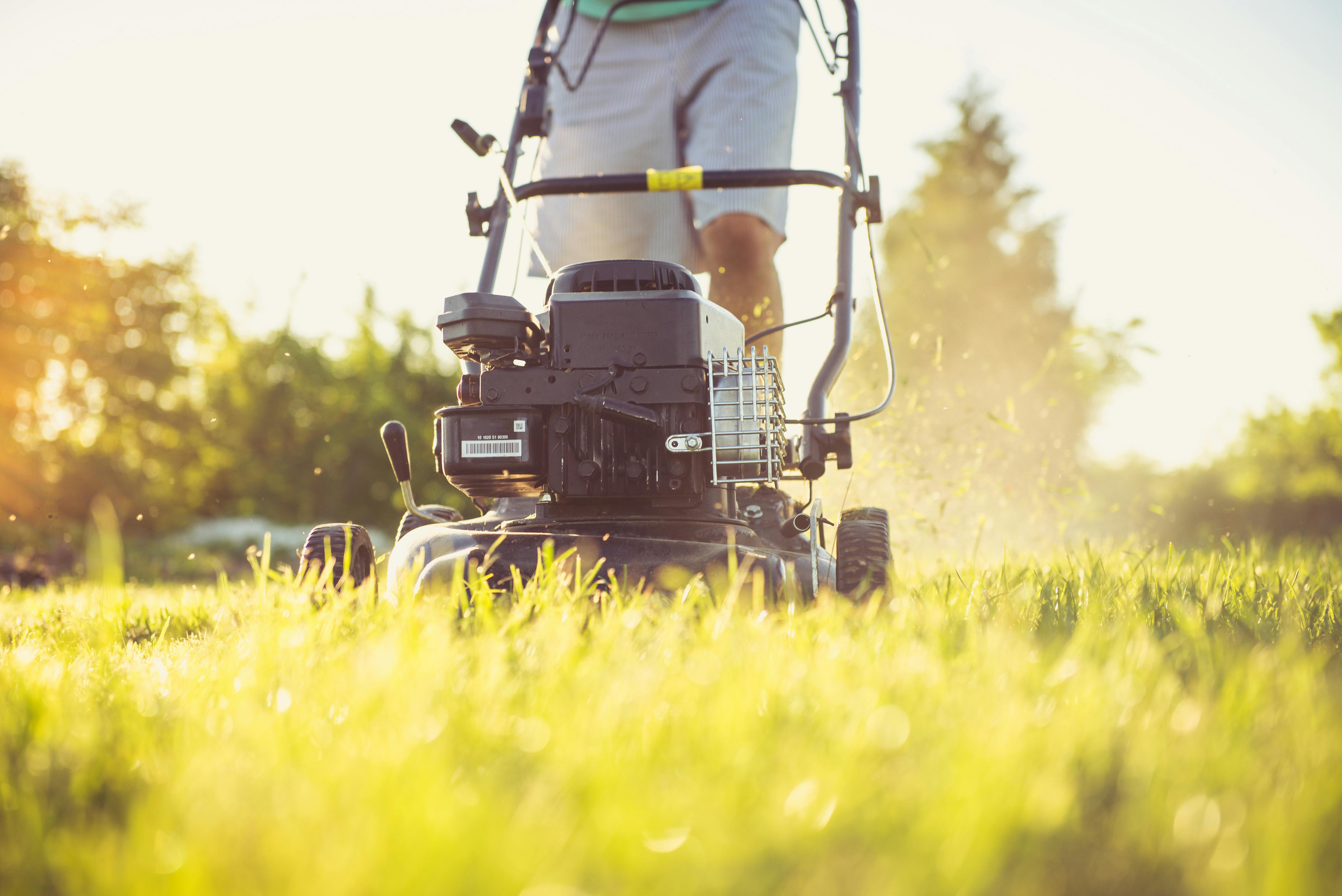 Moray Council tenants to be consulted on grass cutting revisions