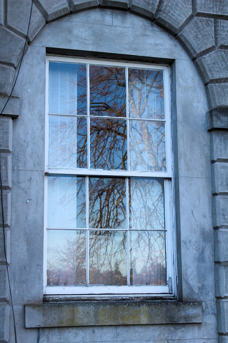 Hillcrest Maintenance staff trained for historic window replacement project