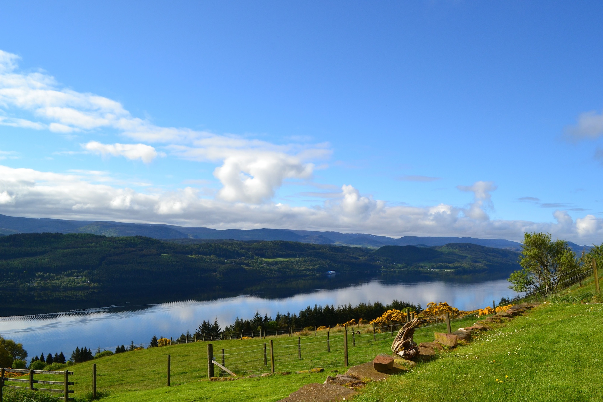 Community to explore buyout of rewilding estate near Loch Ness