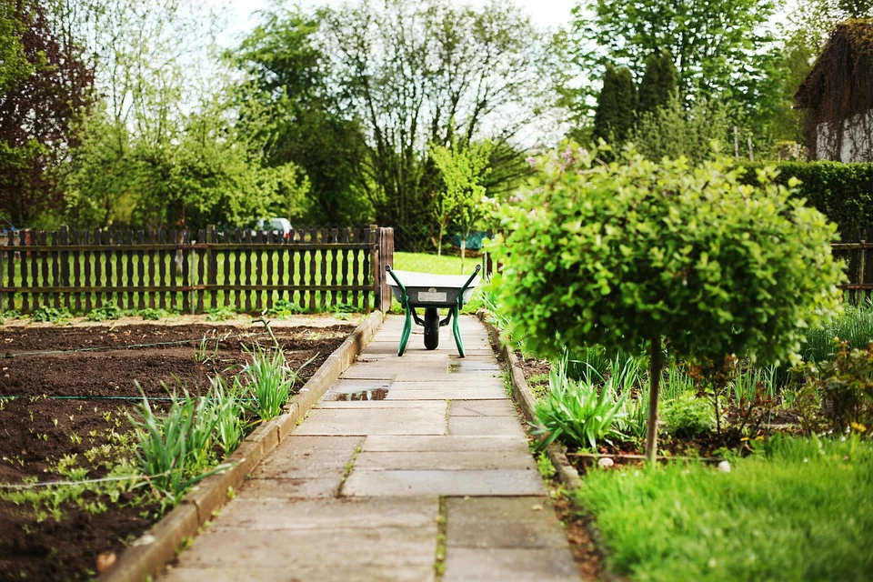 New plan announced for Midlothian allotments and community growing spaces