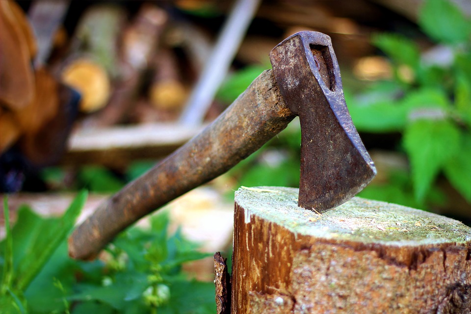 Dundee golf club 'unlawfully' chops down trees in area reserved for housing