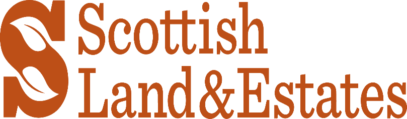 SLE calls for 'urgent rethink' on licensing of short-term lets during COVID recovery