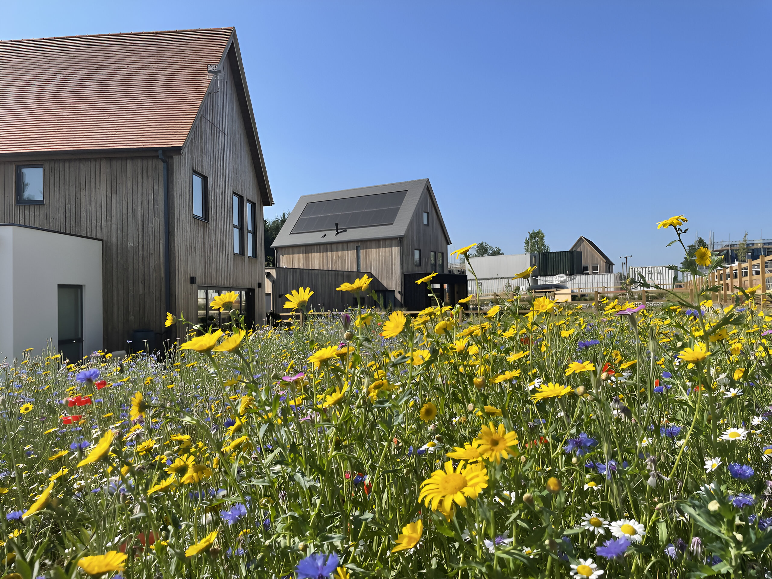 Bioregional launches guidance for sustainable new-build communities