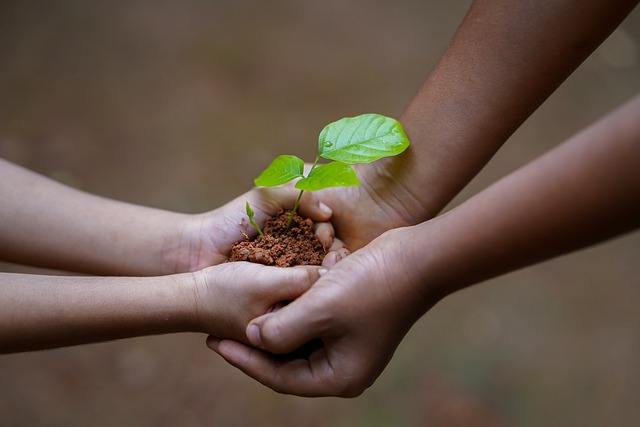 Climate Action Hubs to empower local action across Scotland