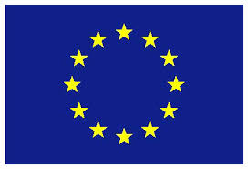 Citizens Rights Project to host webinar on EU Settlement Scheme