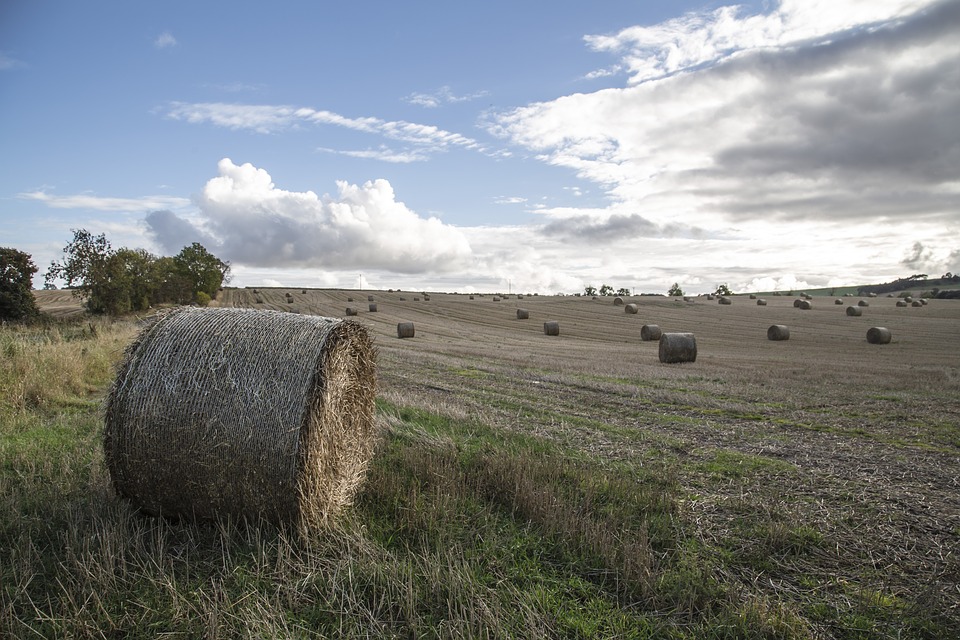 New houses to hold on to farming history