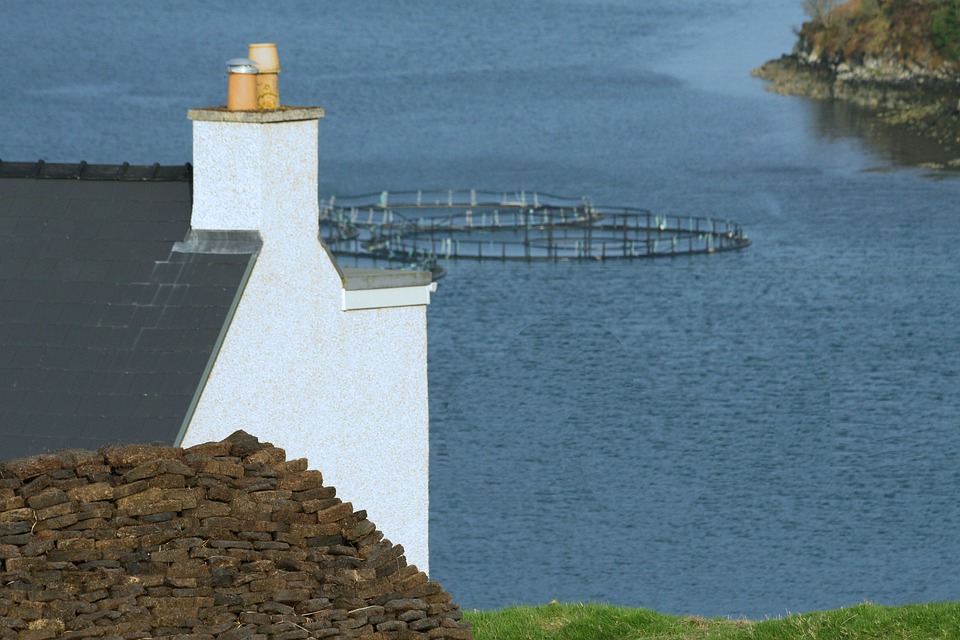 Calls for legal reform to protect crofting land from 'out of control' market